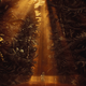 Hellblade: Senua’s Sacrifice